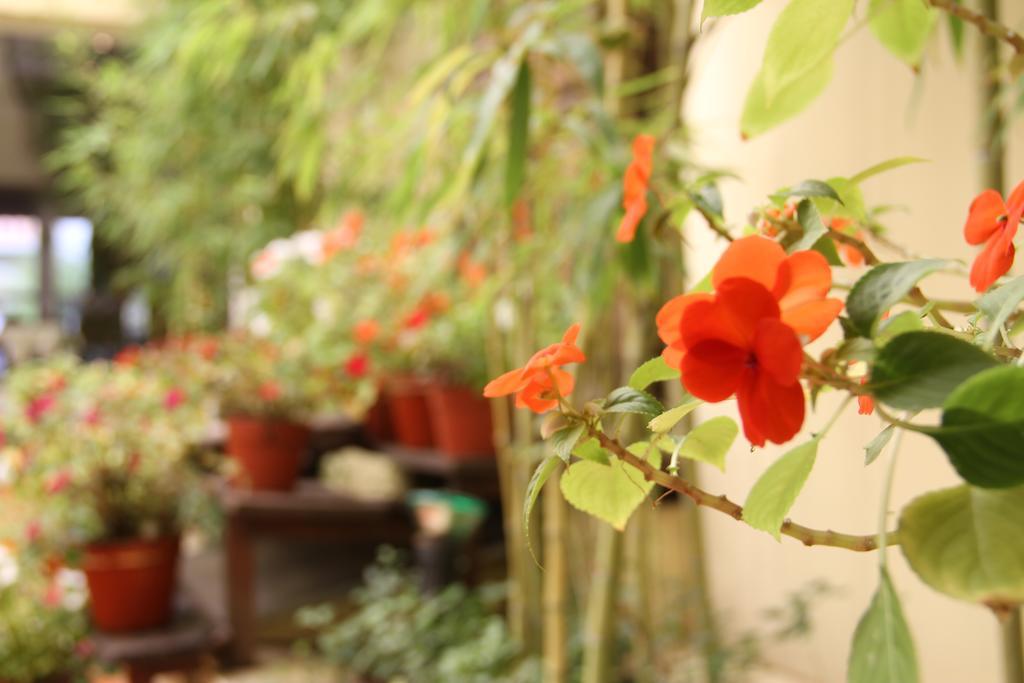 Altos De Balcarce Hotel Salta Zewnętrze zdjęcie